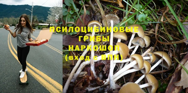 молекула духа Алексин